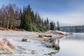 Frostiger Morgen am Oderteich von Daniela Beyer