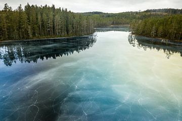 Blue ice by Marloes van Pareren