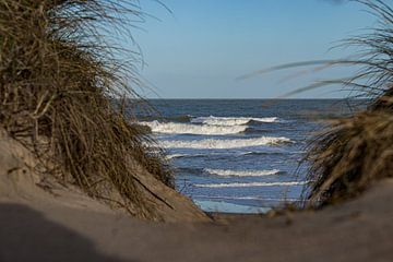Look @ the sea van Eddy Smets