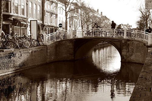 Une tranquillité urbaine intemporelle