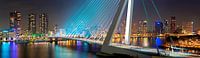 Panorama Rotterdam met de Erasmusbrug van Anton de Zeeuw thumbnail