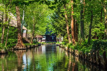 Buildings and water in the Spreewald area, Germany