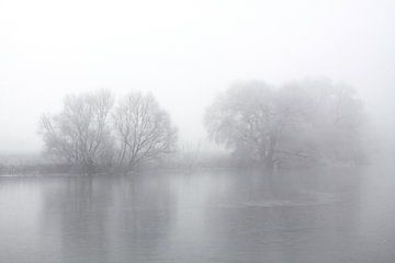 An der Saale bei Nebel und Rauhreif von Karina Baumgart