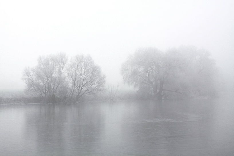 Op de Saale in de mist en de pest van Karina Gebert