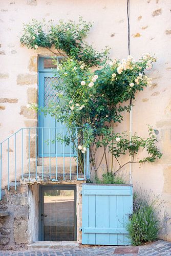 Franse gevel met rozenstruik en blauwe deur en luik