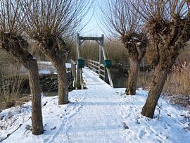 De Brug van Ronald Wakker
