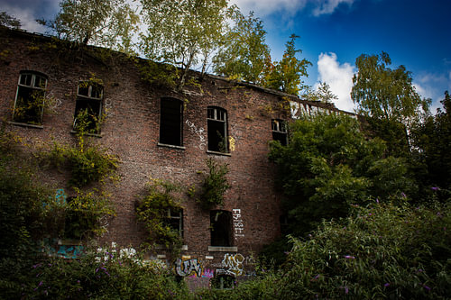 Ein verlassenes Gebäude – die Natur erobert es zurück