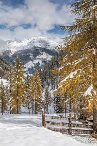 Verschneiter Weg von Kalkstein ins Rosstal im hinteren Villgratental