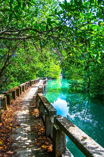 The magic road