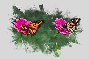 Deux fleurs avec des papillons  dans le style « waterbrush »