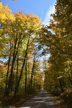 A country road in autumn by Claude Laprise