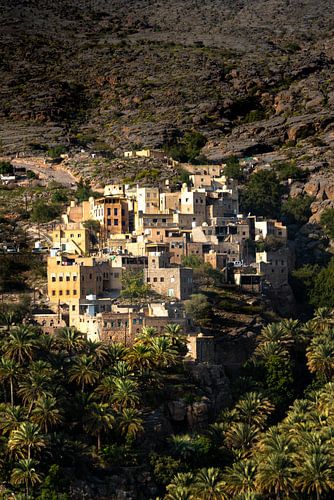 Bergdorpje tussen Palmbomen