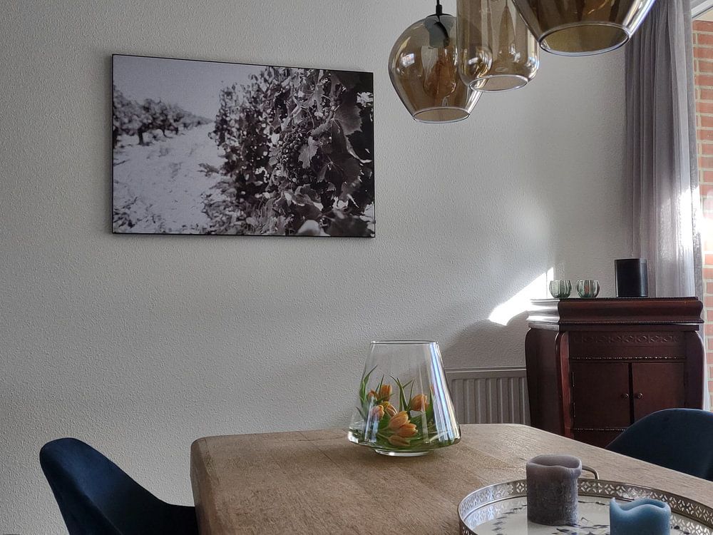 Reben in Südfrankreich schwarz-weiß  von Nick van Dijk 