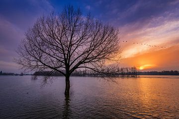 Sonnenaufgang über dem Fluss Waal von Sander Peters