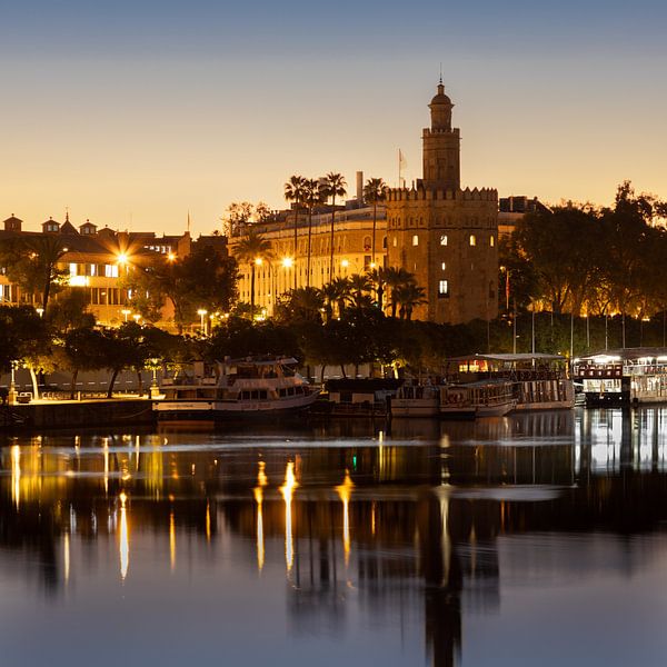 Sevilla, golden tower, plaza de España, Andalucia, Spanje in de ochten van Kim Willems