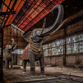 Olifanten in een verlaten fabriek in Frankrijk van Beyond Time Photography