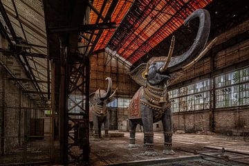 Elefanten in einer verlassenen Fabrik in Frankreich von Beyond Time Photography