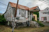 Verfallenes Haus auf St. Eustatius von Joost Adriaanse Miniaturansicht