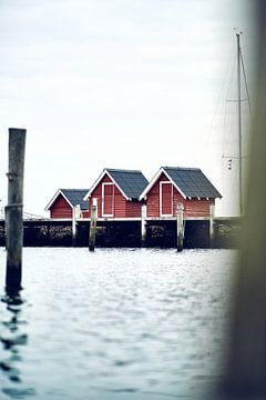 Haven in Denemarken van Florian Kunde