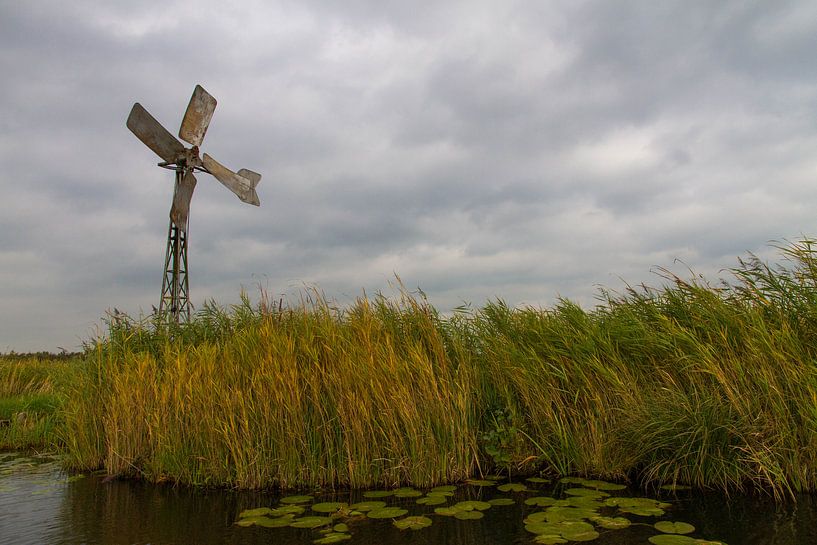 Windmolen in de weerribben par Niels Eric Fotografie