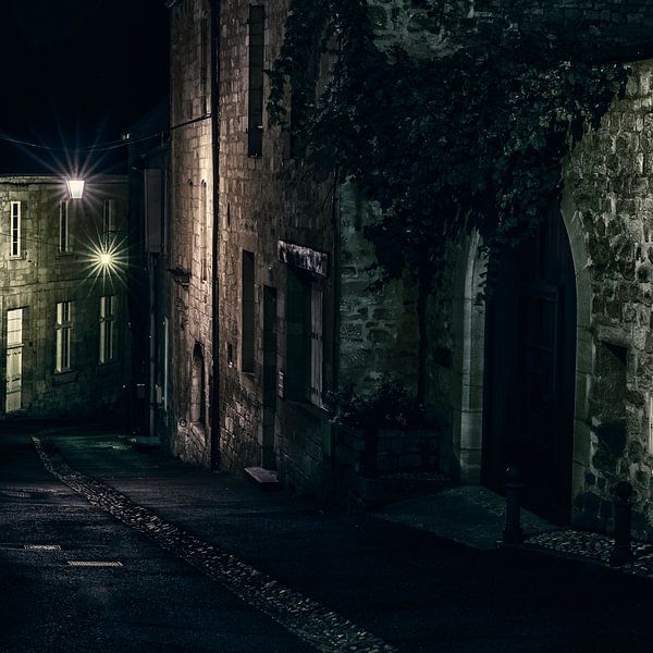 Ergens in de Dordogne by Esther Swaager