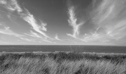 Die salzige Stille von Texel
