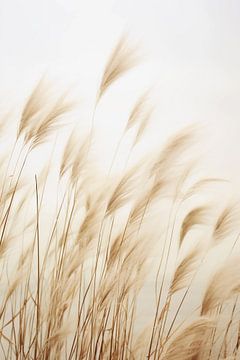 Neutral pampas grass by haroulita