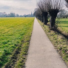 Nederlandse Platteland van Raaf