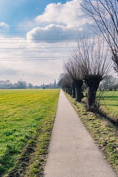 Nederlandse Platteland van Raaf