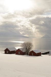 Norwegische Schuppen am Ufer eines Fjords in Nordnorwegen im Jahr von Sjoerd van der Wal Fotografie