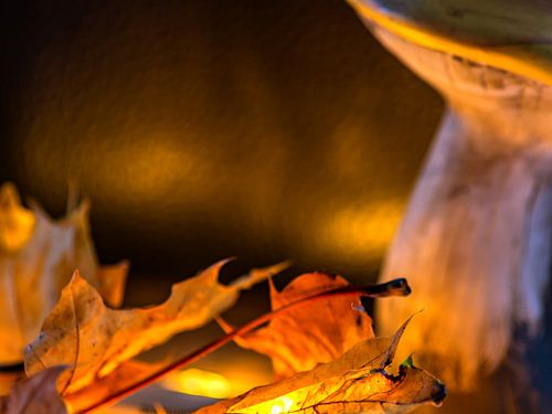 DÉCORATION D'AUTOMNE