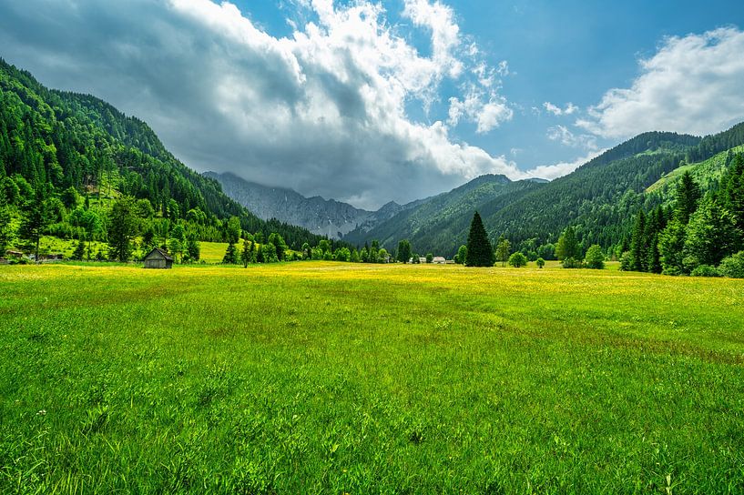 Vue d'une prairie de conte de fées près de Ferlach par Andreas Völkel