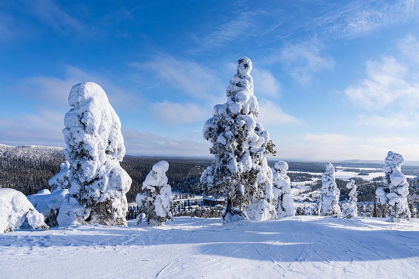 Landschap met sneeuw in de winter in Ruka, Finland van Rico Ködder