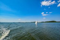 Boddenrundfahrt Insel Vilm, Hafen Lauterbach, Moritzdorf, Bollwerk/Baabe auf Rügen von GH Foto & Artdesign Miniaturansicht