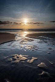 Go with the flow van Judith Veenstra