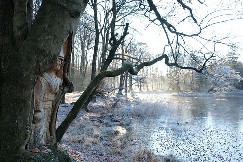 Magical winter landscape winter in Beetsterzwaag Friesland Fryslân Netherlandsnd