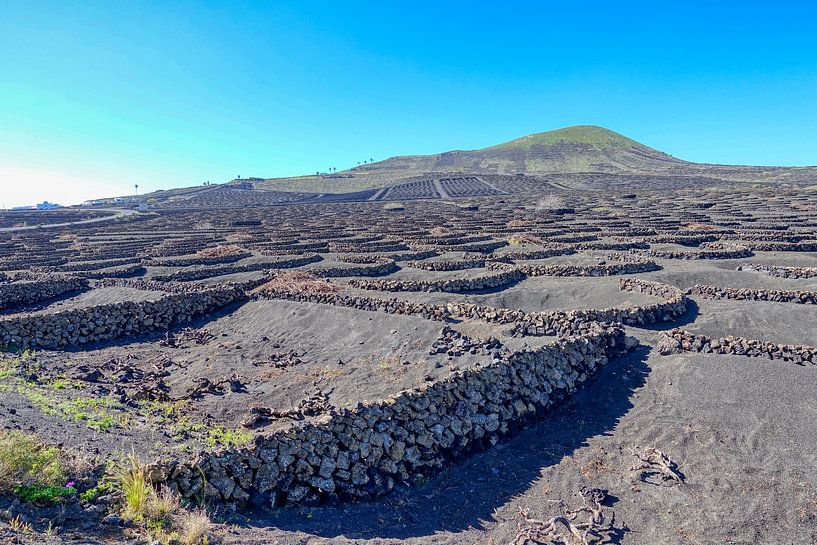 La Geria (Lanzarote) by Peter Balan