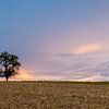 Splendid colours on the Rhine by Johan Mooibroek