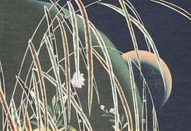 Seite 21-22 in dem Buch Sono no kaori