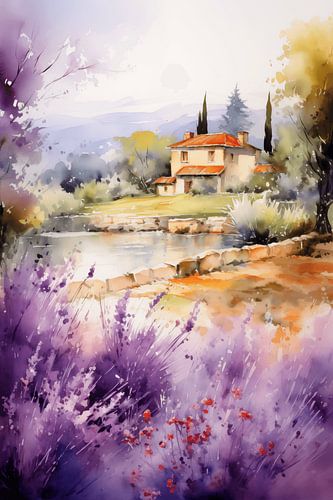 Lavender in the Provance