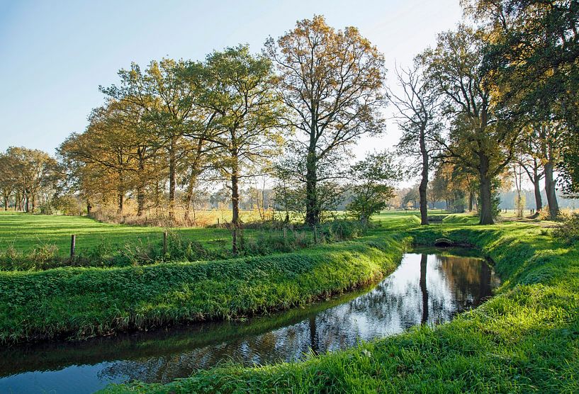 Stream through green landscape by Helga Kuiper