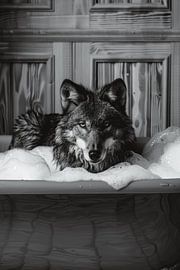 Wilder Wolf in Badewanne - Ein faszinierendes Badezimmerbild für Ihr WC von Poster Art Shop