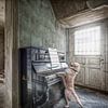 Hond speelt piano van Marcel van Balken