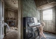 Chien joue au piano par Marcel van Balken Aperçu