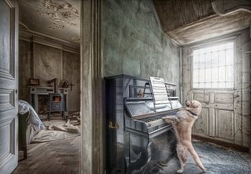 Hund spielt auf dem Klavier von Marcel van Balken