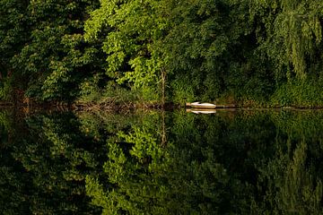 De kajak op de Lahn van Thorsten John
