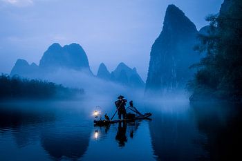 Visser met aalscholver in ochtendgloren