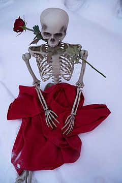 Squelette d'amour éternel avec une rose rouge dans la neige blanche