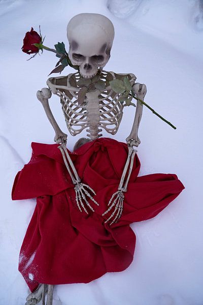 Ewige Liebe Skelett mit roter Rose in weißem Schnee von Babetts Bildergalerie