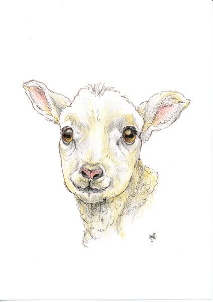 lamb by Marian van der Veen-Niemeijer